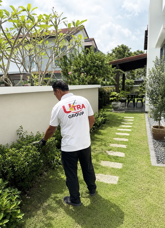 Ultra Group garden technician trimming hedges